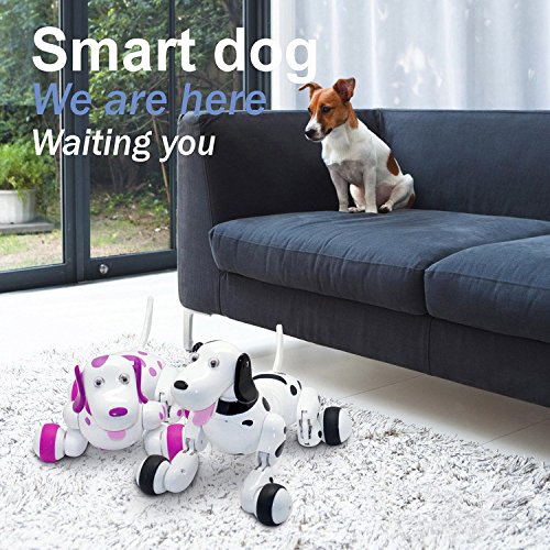 RC Smart Dog Educational Toy